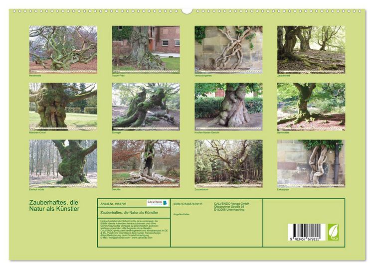 Produktbild: Zauberhaftes, die Natur als K&uuml;nstler (hochwertiger Premium Wandkalender 2026 DIN A2 quer), Kunstdruck in Hochglanz