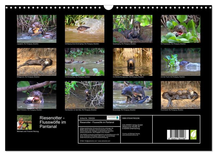 Produktbild: Riesenotter - Flussw&ouml;lfe im Pantanal (Wandkalender 2026 DIN A3 quer), CALVENDO Monatskalender