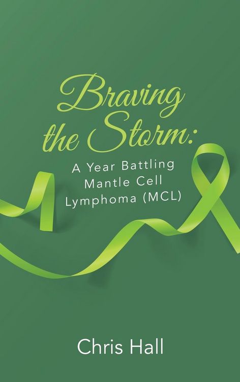 Produktbild: Braving the Storm
