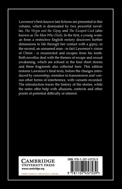 Produktbild: The Virgin and the Gipsy and Other Stories