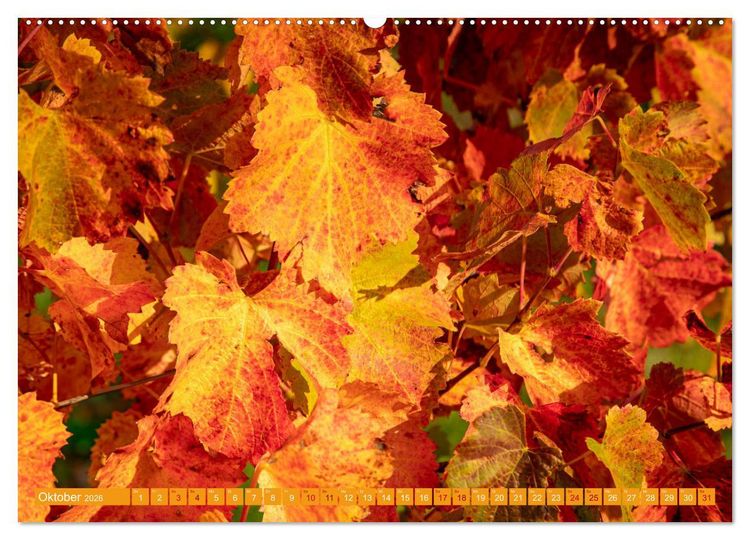 Produktbild: Indian Summer in Baden-W&uuml;rttemberg (Wandkalender 2026 DIN A2 quer), CALVENDO Monatskalender