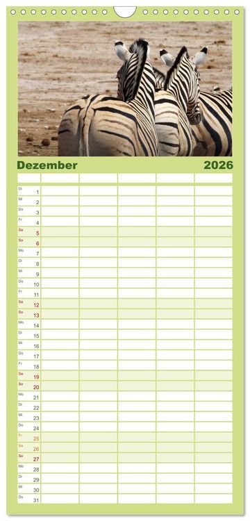 Produktbild: Familienplaner 2026 - Zebras - Faszination der Wildnis mit 5 Spalten (Wandkalender, 21 x 45 cm) CALVENDO