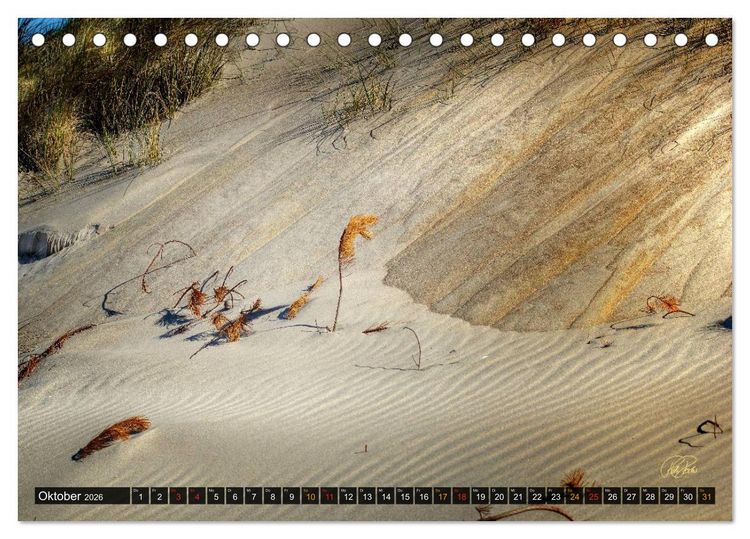 Produktbild: Nordsee-D&uuml;nen (Tischkalender 2026 DIN A5 quer), CALVENDO Monatskalender
