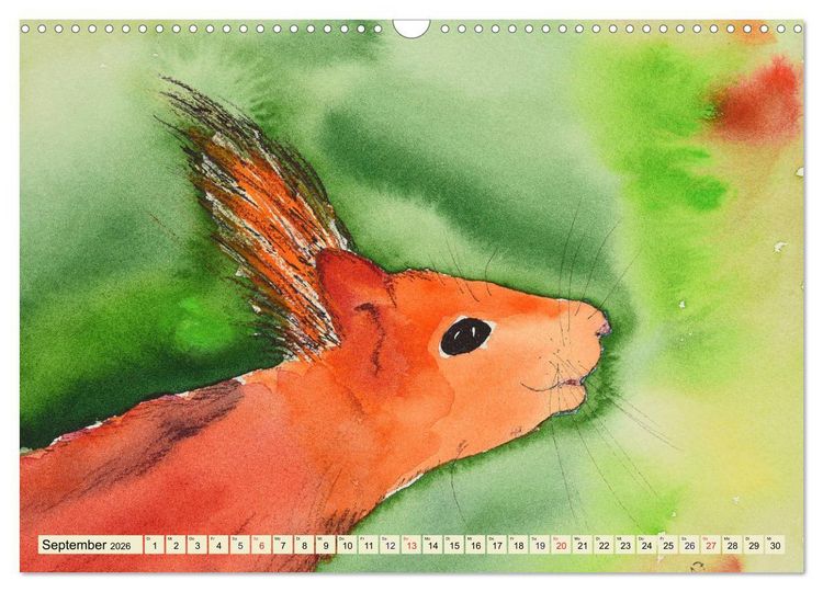 Produktbild: Eichh&ouml;rnchen in Aquarell (Wandkalender 2026 DIN A3 quer), CALVENDO Monatskalender