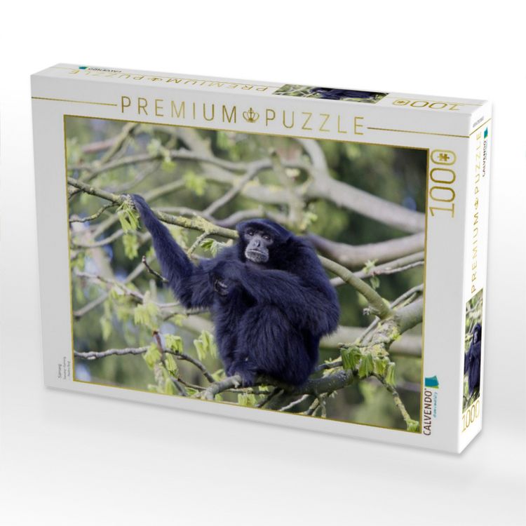 Produktbild: CALVENDO Puzzle Siamang | 1000 Teile Lege-Gr&ouml;&szlig;e 64x48cm Foto-Puzzle f&uuml;r gl&uuml;ckliche Stunden