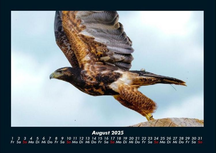 Produktbild: Vogelparadies 2025 Fotokalender DIN A4