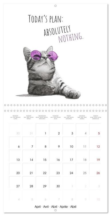 Produktbild: Purrfectly Cool Cats (Wall Calendar 2026 12 &times; 12 Inch) CALVENDO 12 Month Wall Calendar