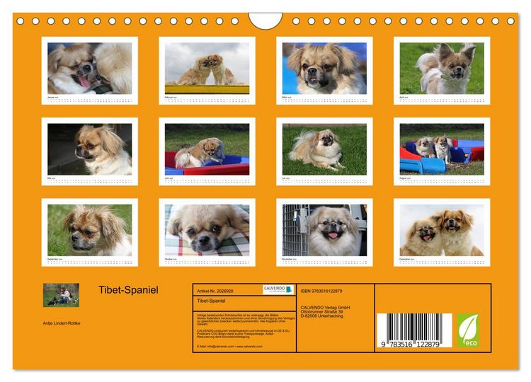Produktbild: Tibet-Spaniel (Wandkalender 2026 DIN A4 quer), CALVENDO Monatskalender