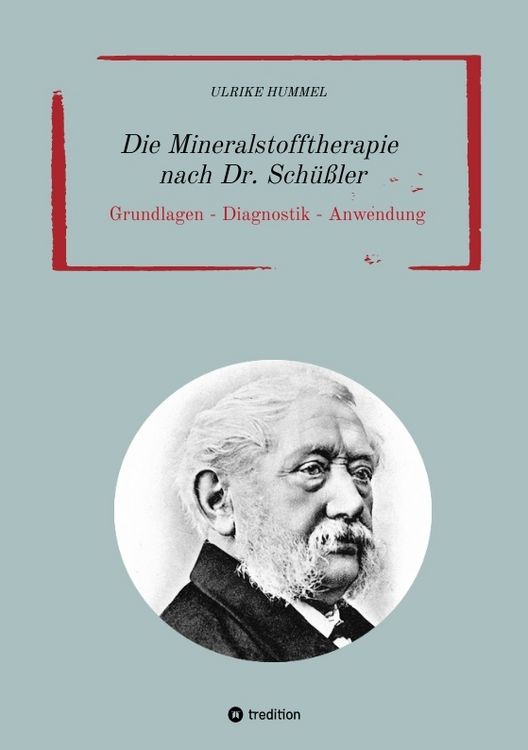Produktbild: Die Mineralstofftherapie nach Dr. Sch&uuml;&szlig;ler