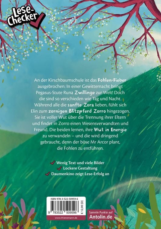 Produktbild: Die Schule der Herzenspferde 3: Zorro & Elin