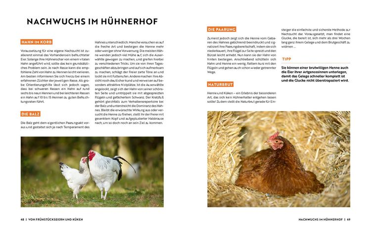 Produktbild: Gartenmomente: H&uuml;hner
