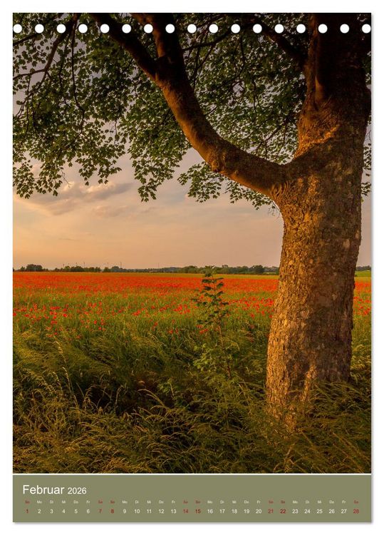 Produktbild: Mohnblumen - kraftvoll und zart (Tischkalender 2026 DIN A5 hoch), CALVENDO Monatskalender