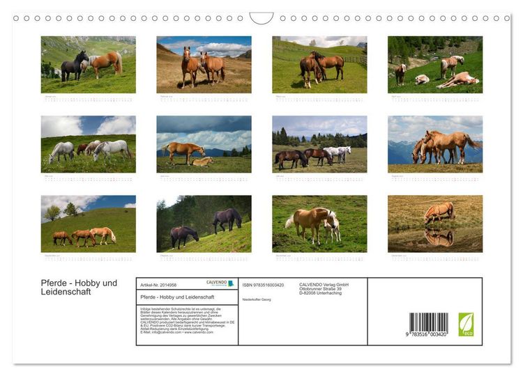 Produktbild: Pferde - Hobby und Leidenschaft (Wandkalender 2026 DIN A3 quer), CALVENDO Monatskalender