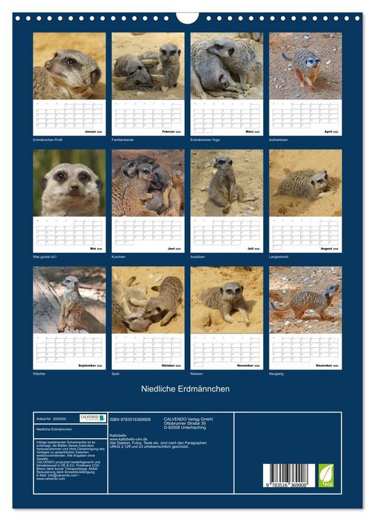 Produktbild: Niedliche Erdm&auml;nnchen (Wandkalender 2026 DIN A3 hoch), CALVENDO Monatskalender