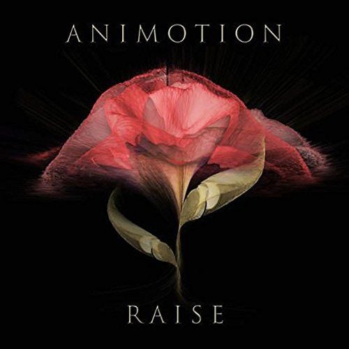 Produktbild: Animotion: Raise Your Expectations