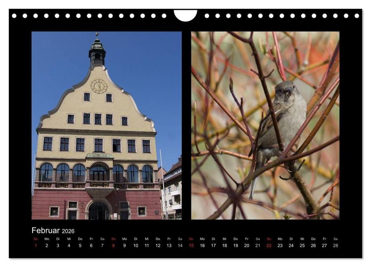 Produktbild: Ulmer Spatzen (Wandkalender 2026 DIN A4 quer), CALVENDO Monatskalender