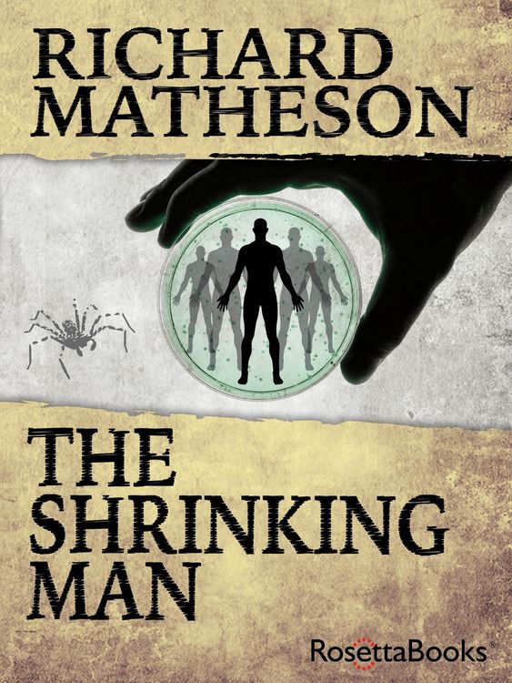 Produktbild: The Shrinking Man