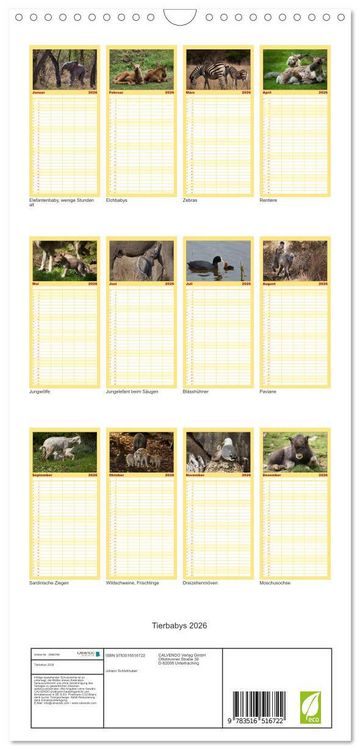 Produktbild: Familienplaner 2026 - Tierbabys 2026 mit 5 Spalten (Wandkalender, 21 x 45 cm) CALVENDO