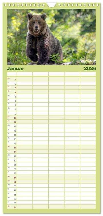 Produktbild: Familienplaner 2026 - Lautlos in den W&auml;ldern Sloweniens mit 5 Spalten (Wandkalender, 21 x 45 cm) CALVENDO