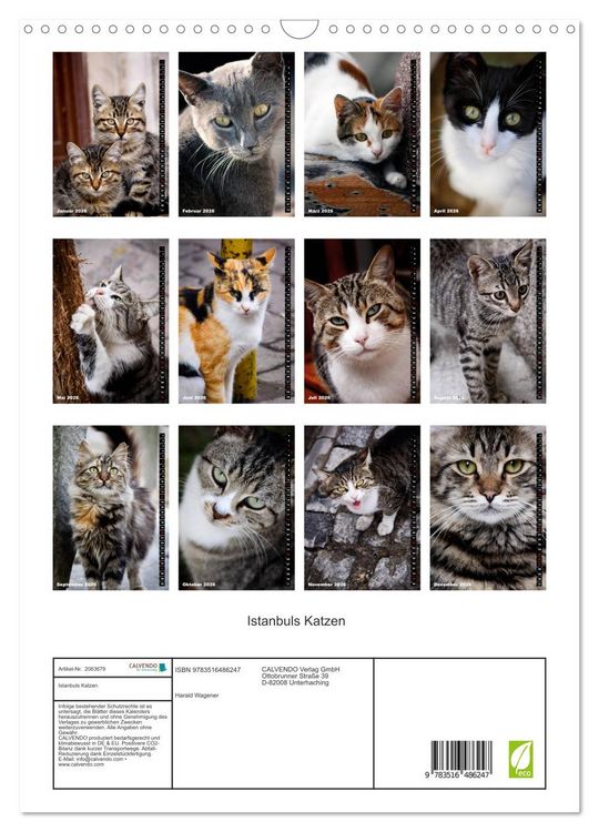 Produktbild: Istanbuls Katzen (Wandkalender 2026 DIN A3 hoch), CALVENDO Monatskalender