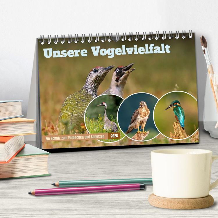 Produktbild: Unsere Vogelvielfalt: Ein Schatz zum Entdecken und Sch&uuml;tzen (Tischkalender 2026 DIN A5 quer), CALVENDO Monatskalender