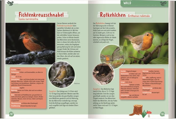 Mein großer Naturführer Tiere & Pflanzen