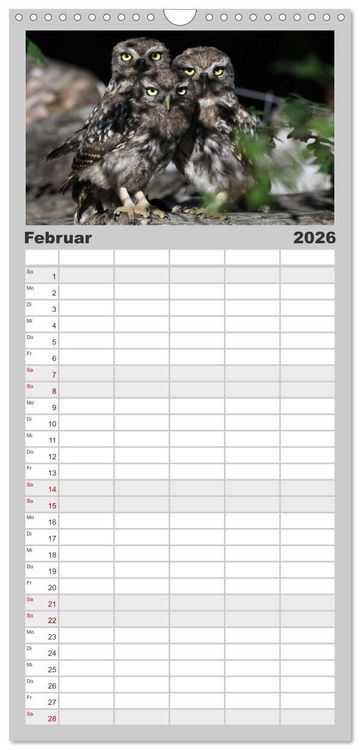 Produktbild: Familienplaner 2026 - V&ouml;gel, Gefiederte Sch&ouml;nheiten mit 5 Spalten (Wandkalender, 21 x 45 cm) CALVENDO
