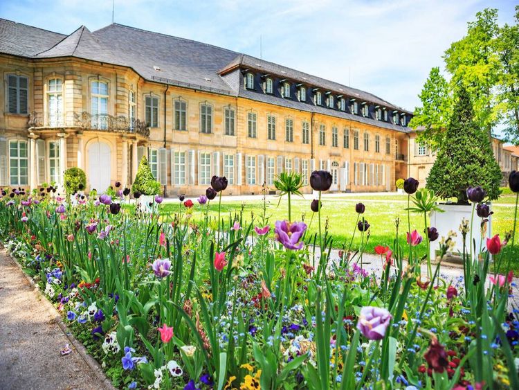 Produktbild: CALVENDO Puzzle Blumen vor dem Neuen Schloss Bayreuth | 1000 Teile Lege-Gr&ouml;&szlig;e 64x48cm Foto-Puzzle f&uuml;r gl&uuml;ckliche Stunden