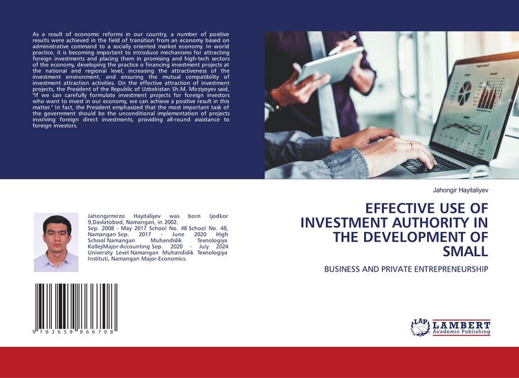 Produktbild: Effective Use Of Investment Authority in The Development Of Small
