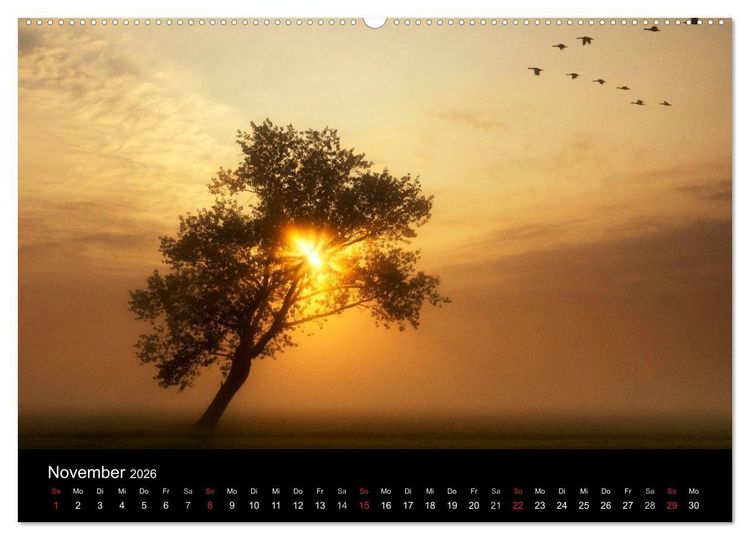 Produktbild: HOLL&Auml;NDISCHE LANDSCHAFTEN: ALBLASSERWAARD 2026 (hochwertiger Premium Wandkalender 2026 DIN A2 quer), Kunstdruck in Hochglanz