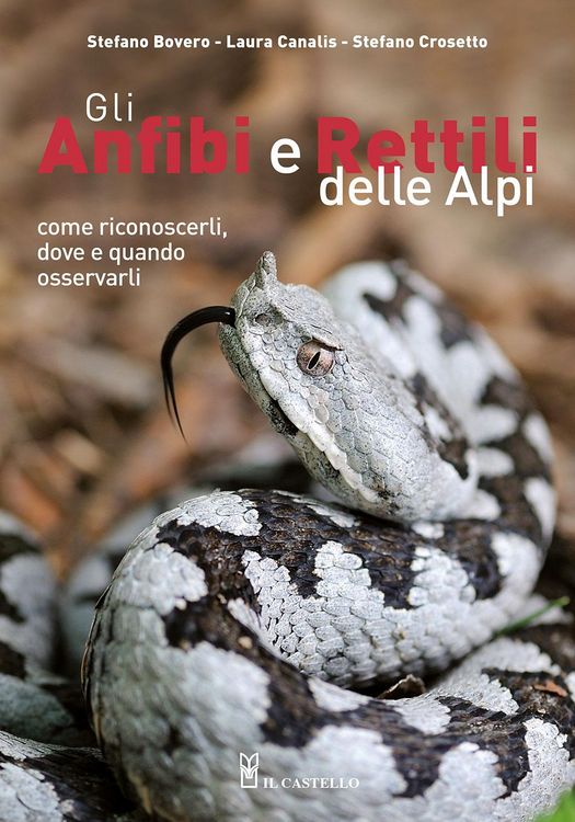 Produktbild: Gli anfibi e rettili delle Alpi. Come riconoscerli, dove e quando osservarli