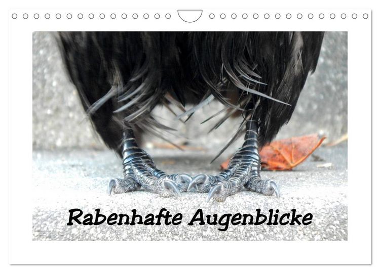 Produktbild: Rabenhafte Augenblicke (Wandkalender 2026 DIN A4 quer), CALVENDO Monatskalender