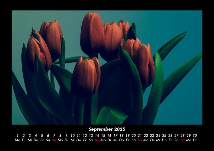 Produktbild: Blumenkalender 2025 Fotokalender DIN A3