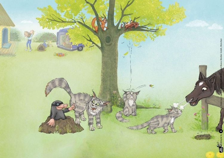 Produktbild: Judiths kleine Farm. Kater Jack sucht einen Freund. Kamishibai Bildkartenset