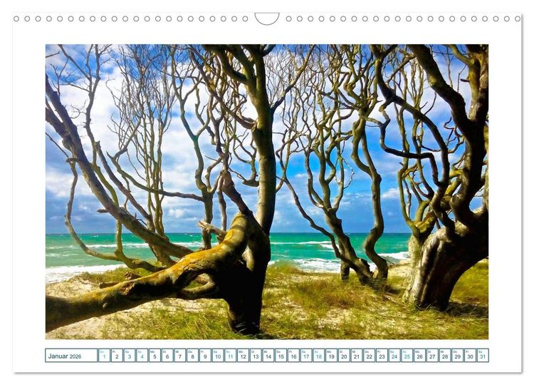Produktbild: Der Weststrand am Dar&szlig; (Wandkalender 2026 DIN A3 quer), CALVENDO Monatskalender
