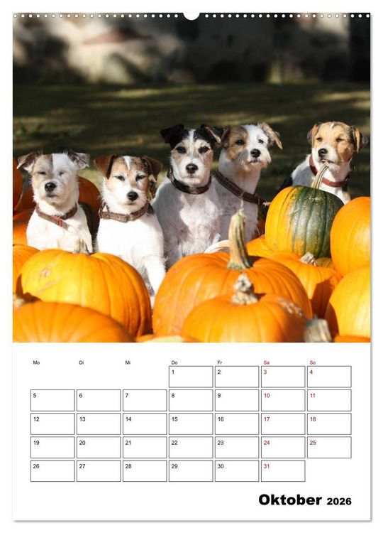 Produktbild: Tender Fellows - Parson Russell Terrier (Wandkalender 2026 DIN A2 hoch), CALVENDO Monatskalender