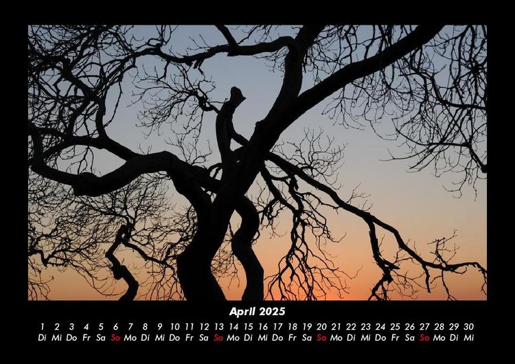 Produktbild: Landschaftskalender 2025 Fotokalender DIN A3