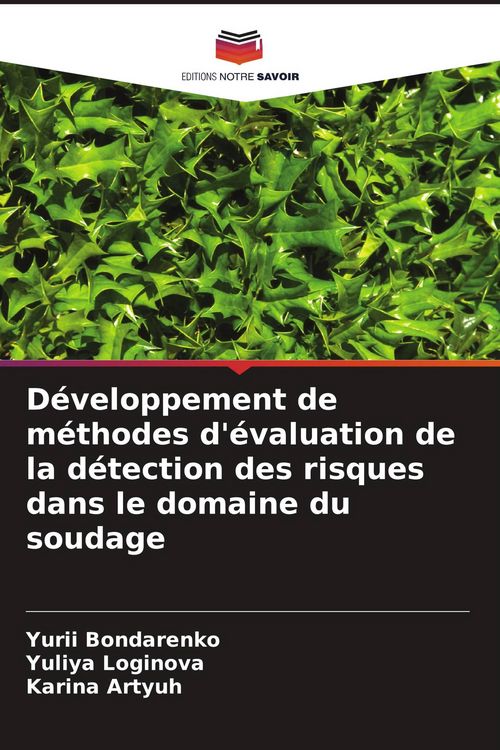 Produktbild: D&eacute;veloppement de m&eacute;thodes d'&eacute;valuation de la d&eacute;tection des risques dans le domaine du soudage