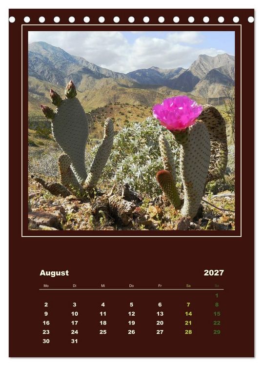 Produktbild: Wilde Kakteen Amerikas (Tischkalender 2027 DIN A5 hoch), CALVENDO Monatskalender