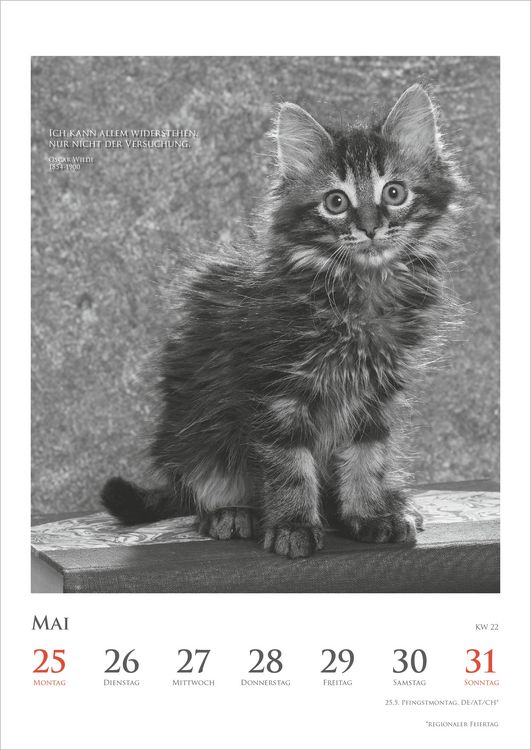 Produktbild: Der poetische Katzenkalender 2027
