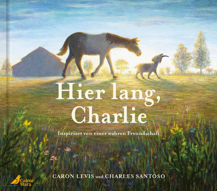 Produktbild: Hier lang, Charlie