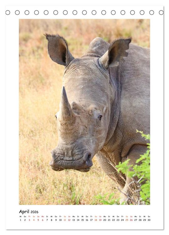 Produktbild: S&Uuml;DAFRIKA - WILDTIERE IM PORTRAIT (Tischkalender 2026 DIN A5 hoch), CALVENDO Monatskalender