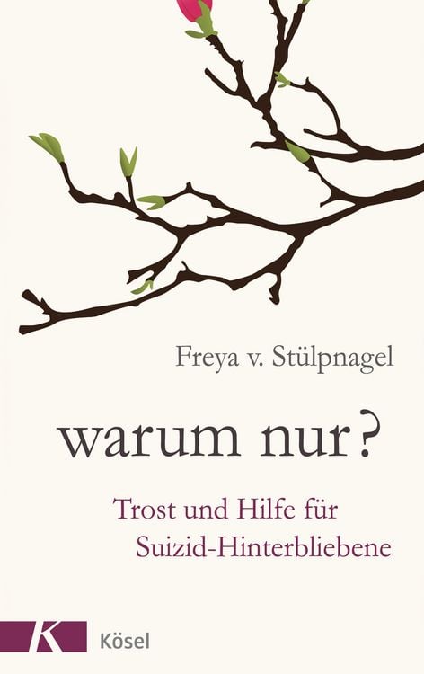 Produktbild: Warum nur?