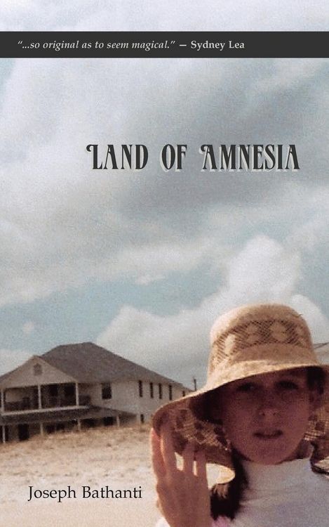 Produktbild: Land of Amnesia