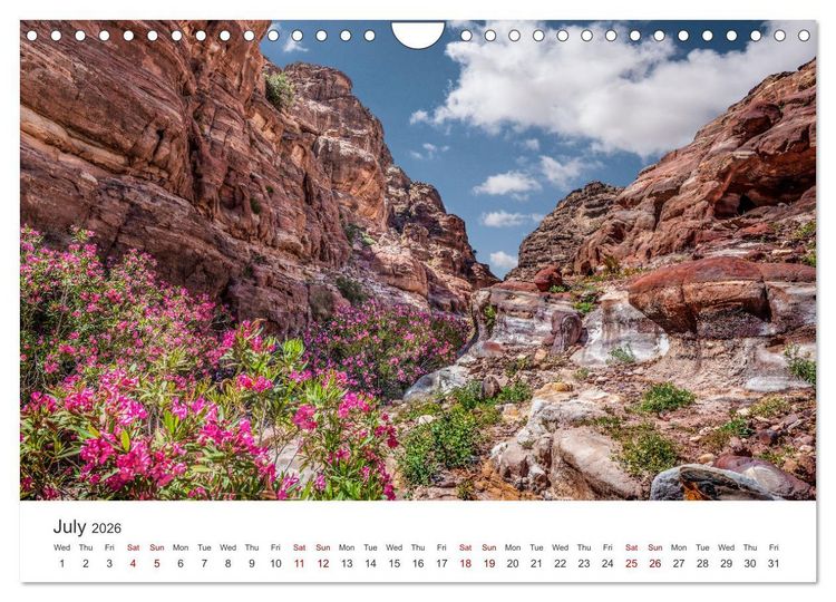 Produktbild: Petra Impressions (Wall Calendar 2026 DIN A4 landscape), CALVENDO 12 Month Wall Calendar