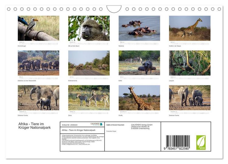 Produktbild: Afrika - Tiere im Kr&uuml;ger Nationalpark (Wandkalender 2026 DIN A4 quer), CALVENDO Monatskalender