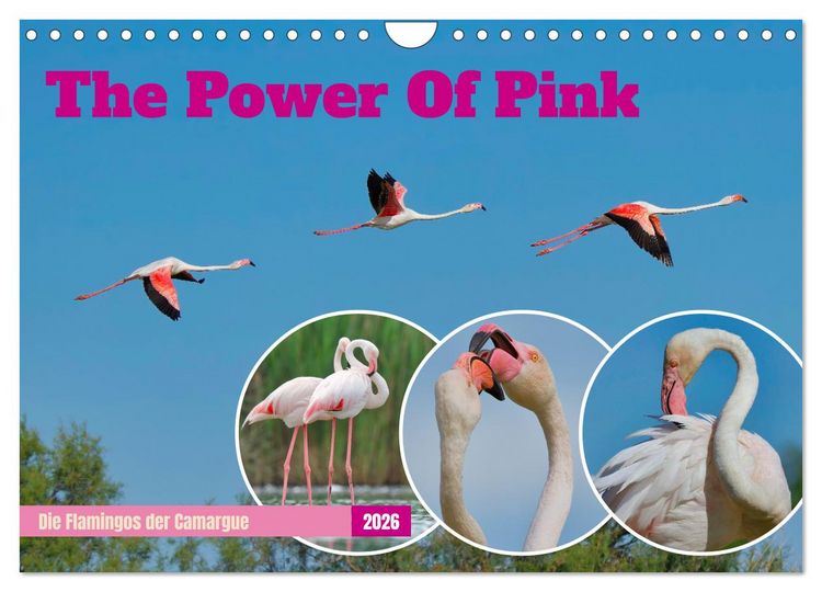 Produktbild: The Power Of Pink (Wandkalender 2026 DIN A4 quer), CALVENDO Monatskalender