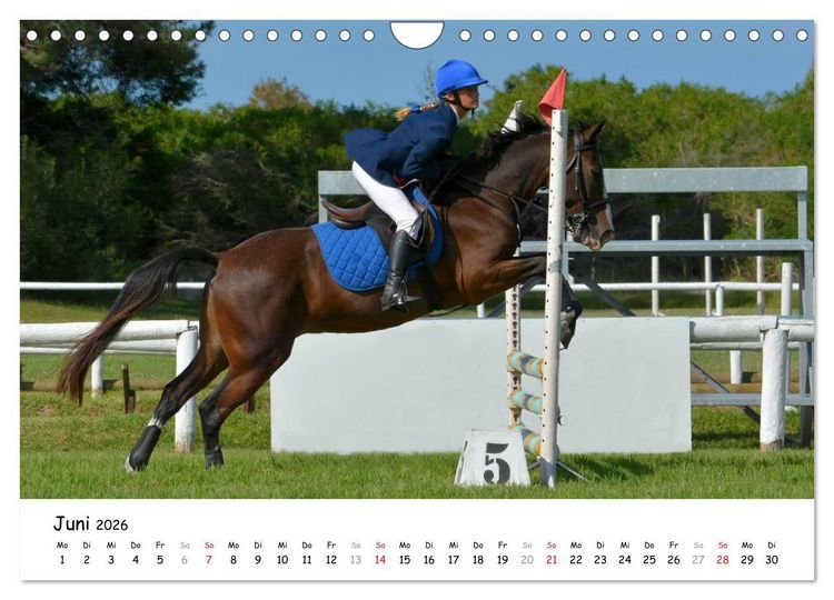 Produktbild: Pony Springreiten (Wandkalender 2026 DIN A4 quer), CALVENDO Monatskalender