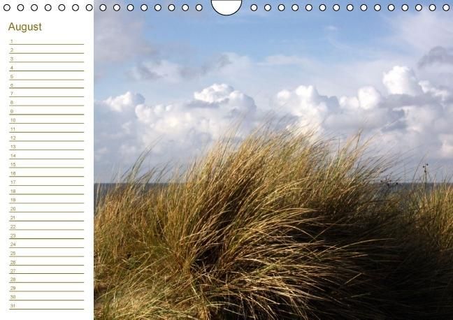 Produktbild: Sylter D&uuml;nen (Wandkalender immerw&auml;hrend DIN A4 quer)