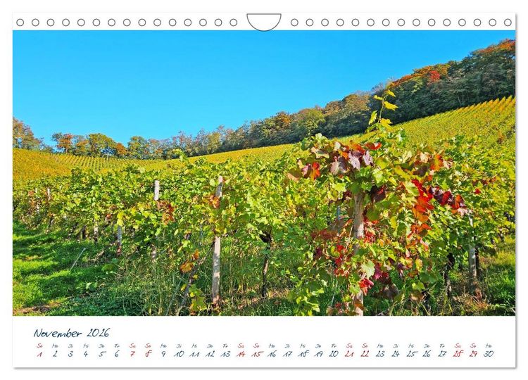 Produktbild: K&ouml;nigswinter-Oberdollendorf &ndash; Traum-Trip durch farbenpr&auml;chtige Weinberge (Wandkalender 2026 DIN A4 quer), CALVENDO Monatskalender